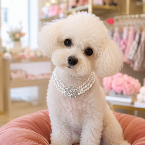 Pearl Rose Pet Necklace Luxury Dog Jewelry Accessories