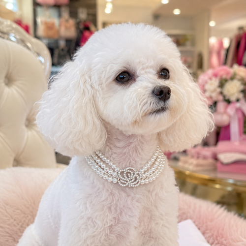 Pearl Rose Pet Necklace Luxury Dog Jewelry Accessories