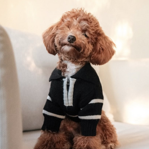 The Cortado | Black Striped Quarter-Zip Dog Sweater