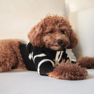 The Cortado | Black Striped Quarter-Zip Dog Sweater
