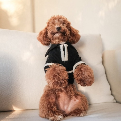The Cortado | Black Striped Quarter-Zip Dog Sweater