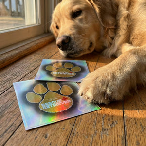 Rescue Retriever® Reflective Pet Alert Safety Sticker 2 Pack | Pets Inside Fire Rescue Decal| Window Door Sign | Designed by a Firefighter
