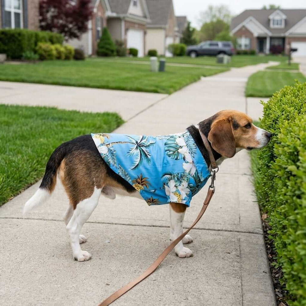 Hawaiian Pet Beach Shirt – Tropical Print Summer Outfit