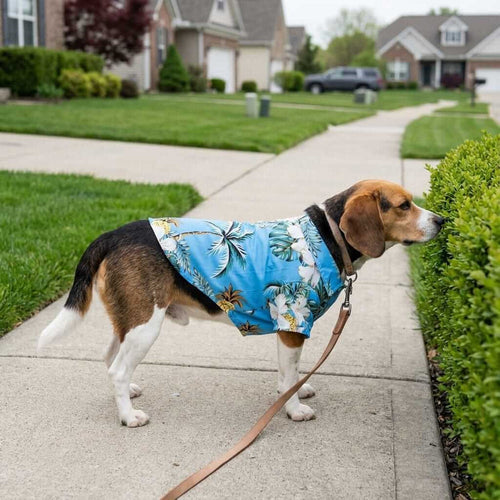 Hawaiian Pet Beach Shirt – Tropical Print Summer Outfit