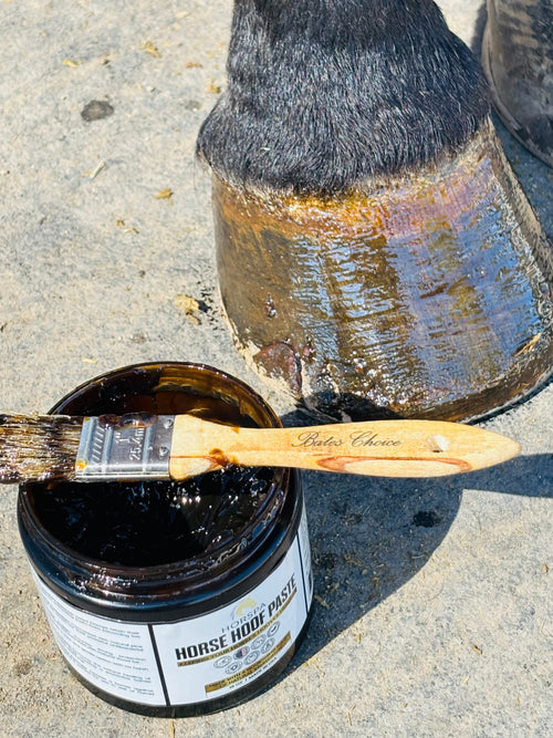 Horse Hoof PASTE & brush applicator 16 oz
