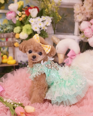 Mint Green Crystal Tulle Pet Party Dress
