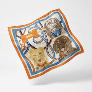 Jour de Casting Detail Framed Vintage Silk Scarf 24"