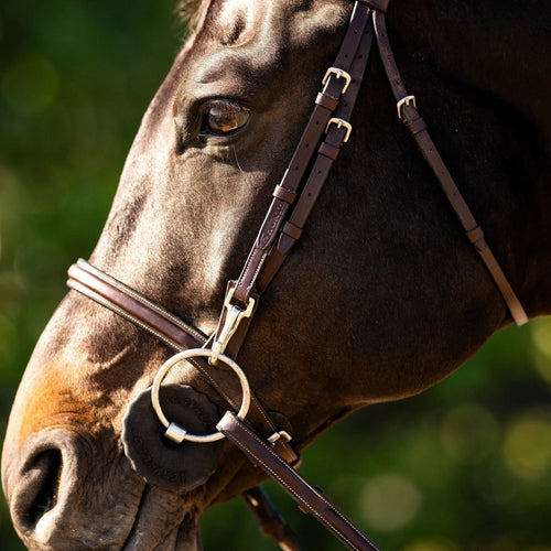Huntley Equestrian Sedgwick Fancy Stitched Bridle with Cheek Clips and Reins