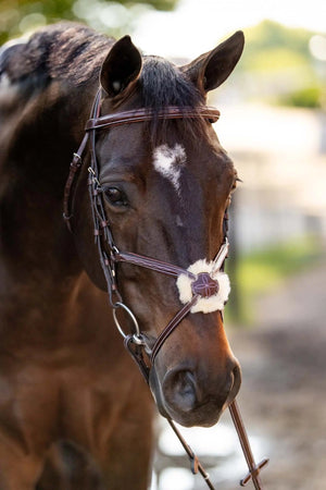 Huntley Equestrian Sedgwick Leather Padded Monocrown Figure 8 Bridle