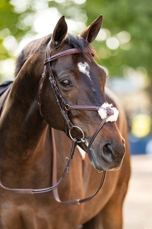 Huntley Equestrian Sedgwick Leather Padded Monocrown Figure 8 Bridle