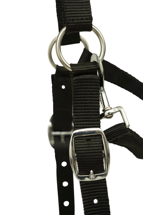 Huntley Fleece Padded Nylon Grazing Muzzle, Black