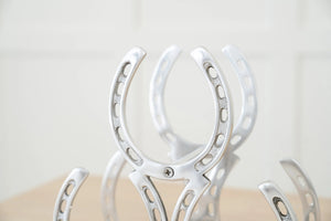 Huntley Horseshoe 3-Bottle Wine Rack, Aluminum Silver Finish