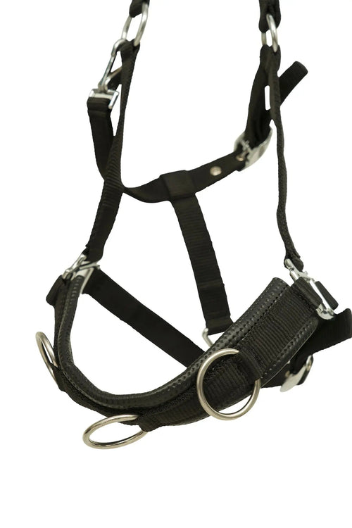 Huntley Nylon Padded Lunging Caveson, Black