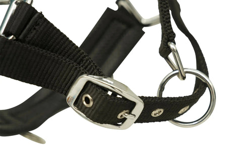 Huntley Nylon Padded Lunging Caveson, Black