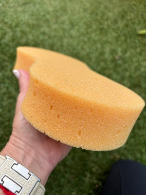 Bundle Natural Horse Shampoo Sicilian Tangerine 32oz Plus Essential Oil Coat Conditioner Peach and Honey 16oz with Sponge applicator