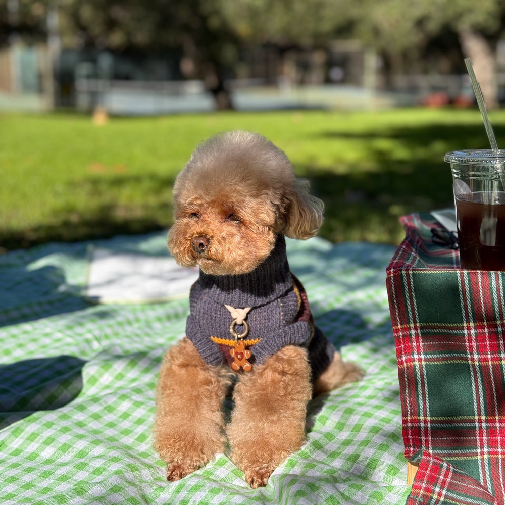 The Chai | Gray & Mustard Striped Turtleneck Dog Sweater