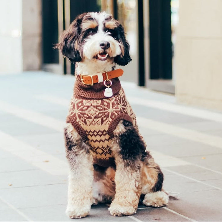 The Latte | Beige Turtleneck Dog Sweater