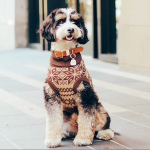 The Latte | Beige Turtleneck Dog Sweater