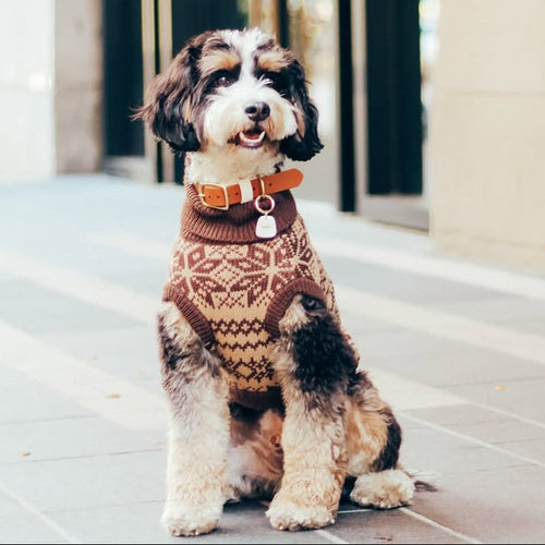 The Latte | Beige Turtleneck Dog Sweater