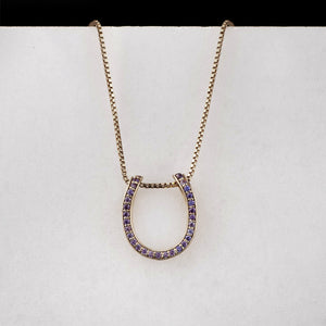 Levade -Violet Moissanite Horseshoe Equestrian Necklace in Silver