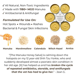 Manuka Honey Salve for Dogs, Horses & Humans