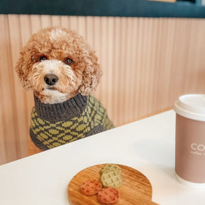 The Matcha | Olive Green Ribbed Knit Dog Sweater
