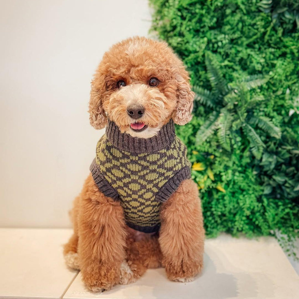 The Matcha | Olive Green Ribbed Knit Dog Sweater