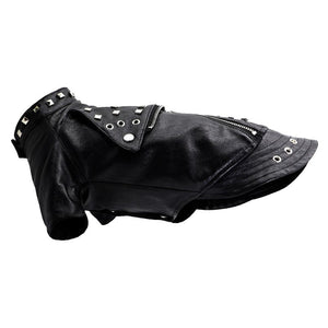 Dog Leather Jacket with Studs – Punk Rock Style