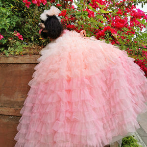 Blush Pink Layered Princess Dog Dress – Luxury Ruffle Puppy Gown with Ombre Tulle Train