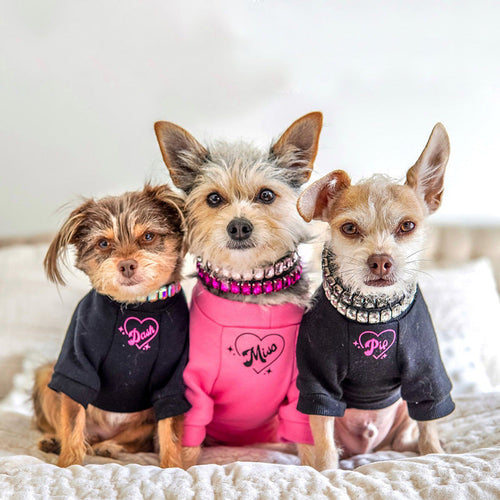 Dog Collars Boutique Rhinestone