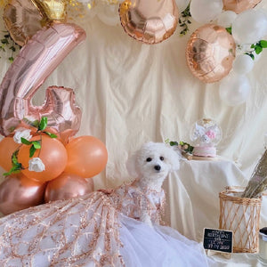 Handmade Luxury Sequin Dog Evening Dress with Train – Couture Gold Pet Gown for Weddings & Red Carpet Style