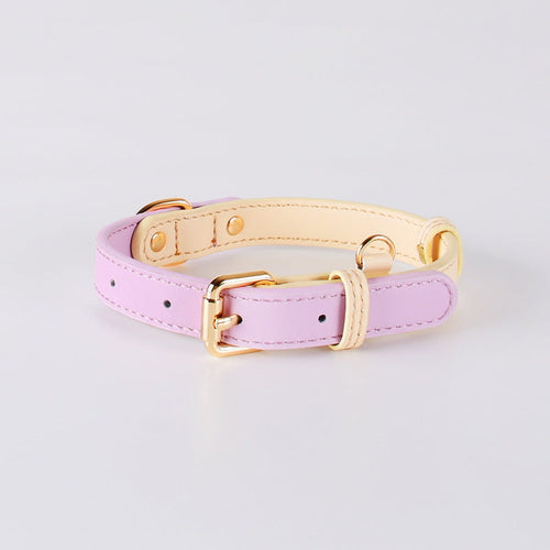2-Tone Leather Dog Collar – Adjustable & Stylish Pet Walking Accessories