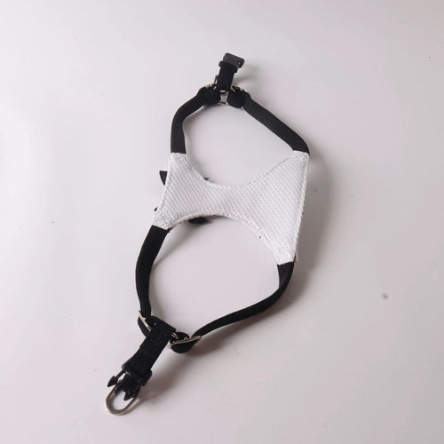 Polka Dot Bow Dog Harness and Leash Set Elegant Adjustable Puppy Vest