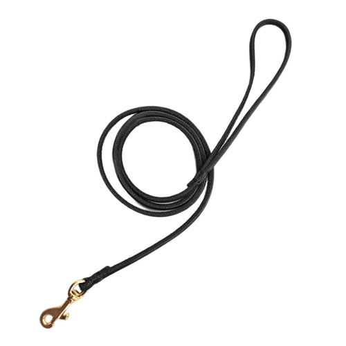 Premium Round Leather Dog Leash – Soft Genuine Leather Pet Lead with Gold Swivel Clip for Small Medium Dogs