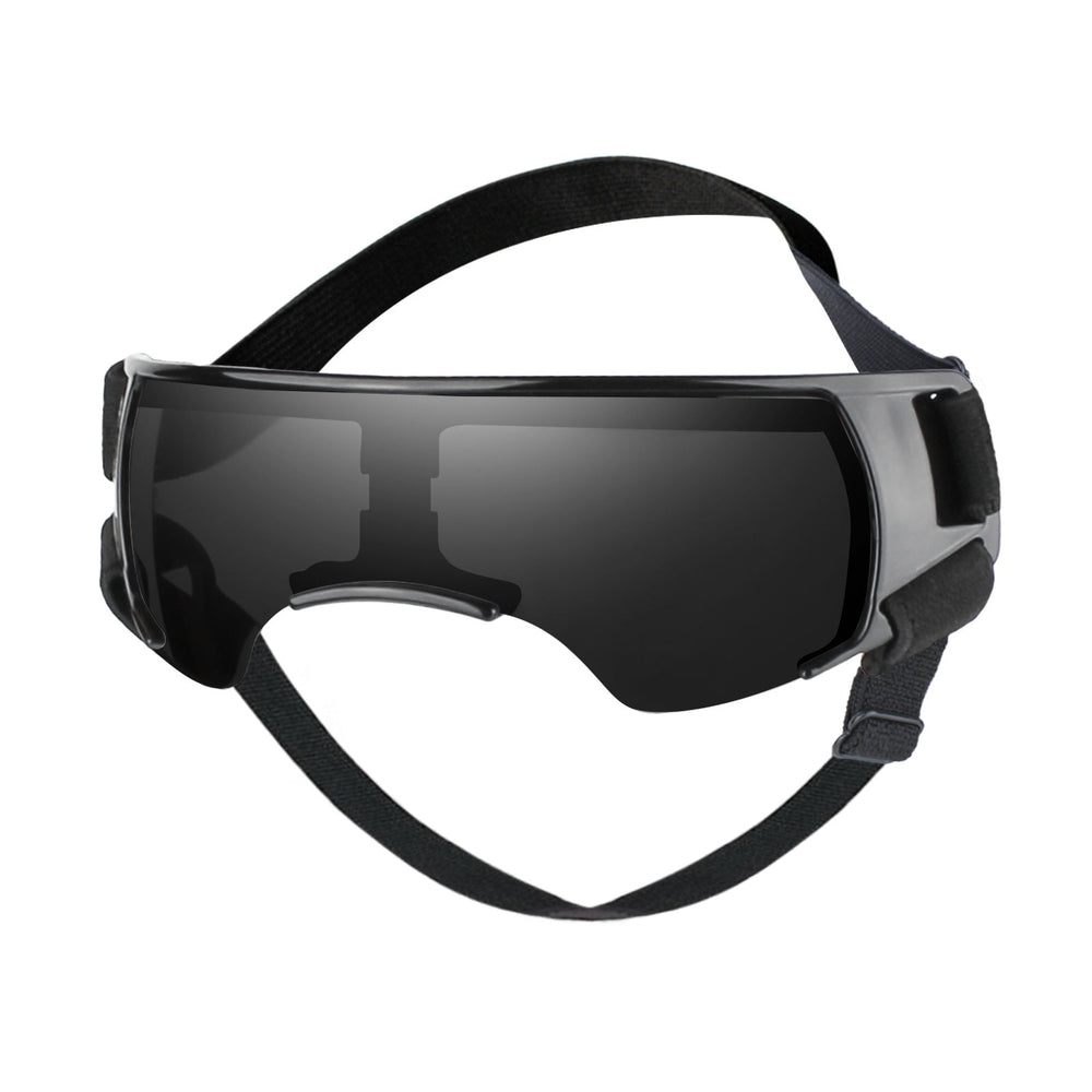 Dog goggle space style for Small Dog