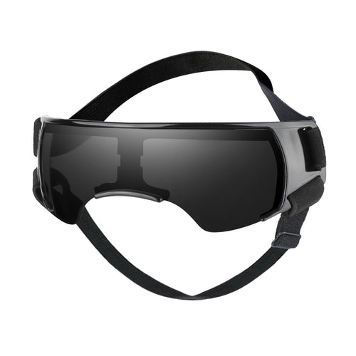 Dog goggle space style for Small Dog