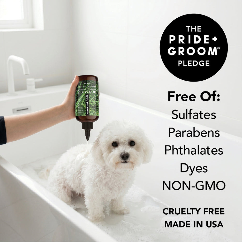 FLEA + TICK SHAMPOO
