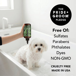 FLEA + TICK SHAMPOO