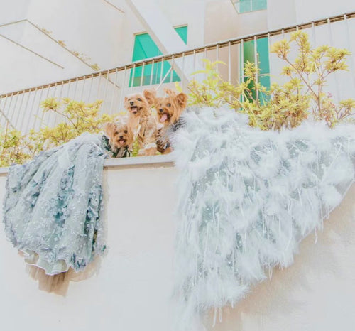 Silver Swan Feather Couture Dog Dress – Luxury Crystal Wedding Gown with Feather Train & Pearl Details