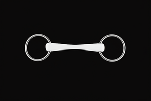 Premium Quality Ring Shape Horse  Bit Stainless Steel