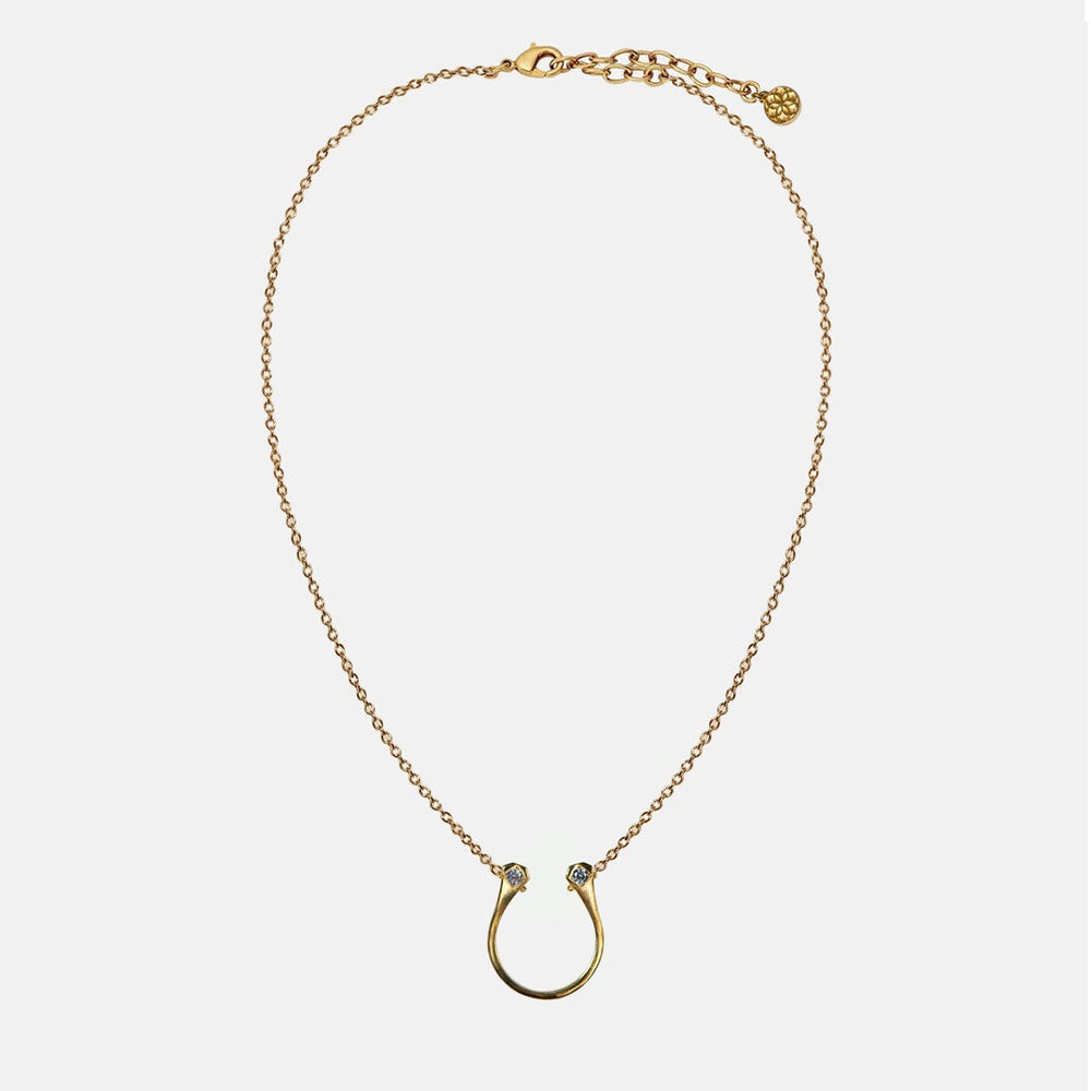 Charmed - Mossanite Equestrian Horseshoe Nail Necklace in Gold