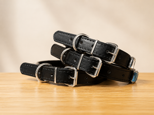 Dog Collars Boutique Rhinestone