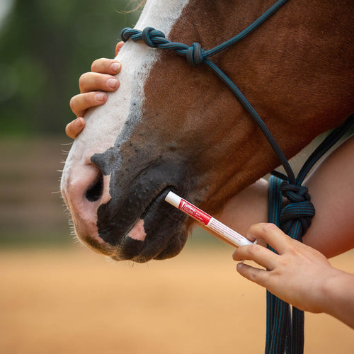 Ivermectin Horse Dewormer Gel, Apple Flavored