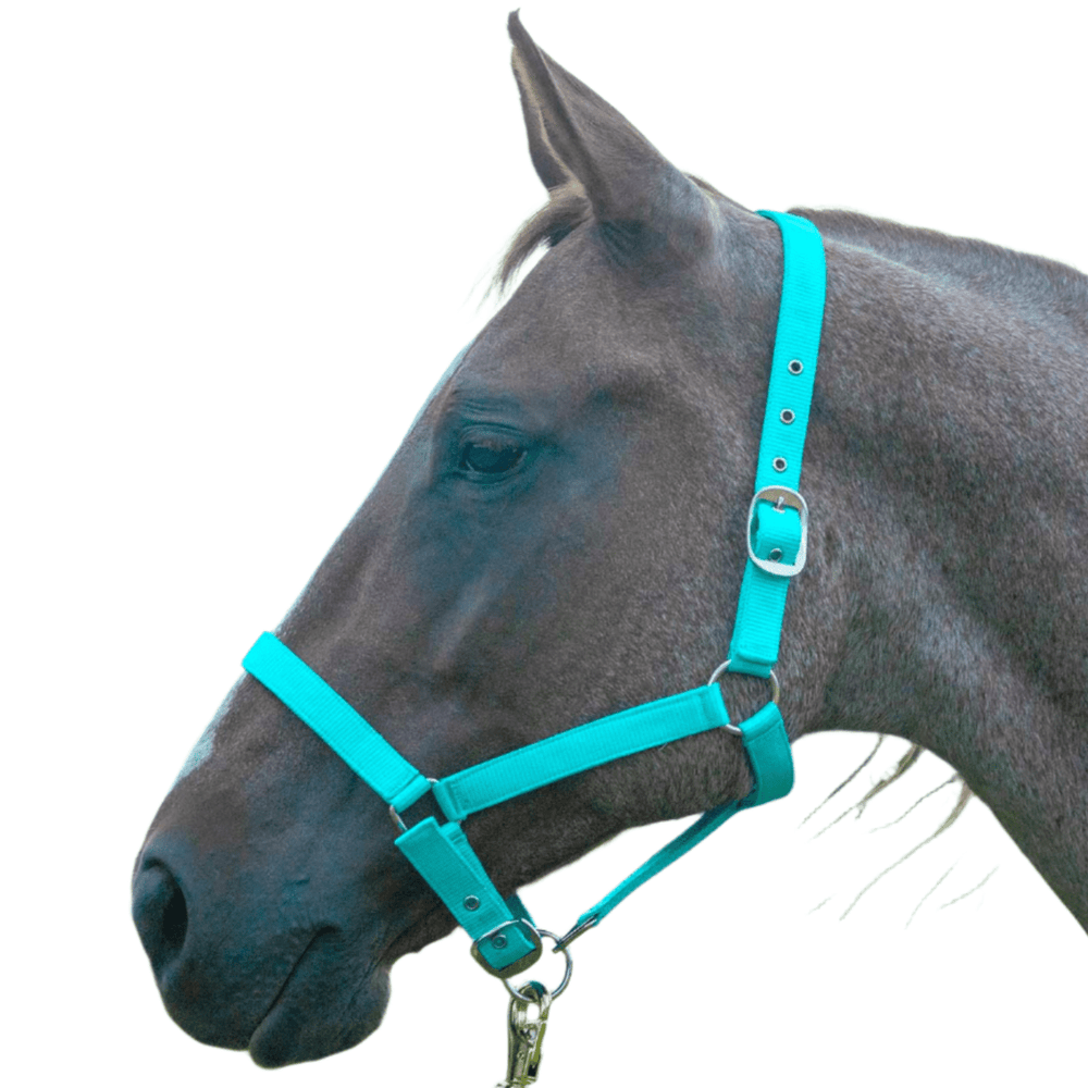 Adjustable Nylon Full Size Horse Halter