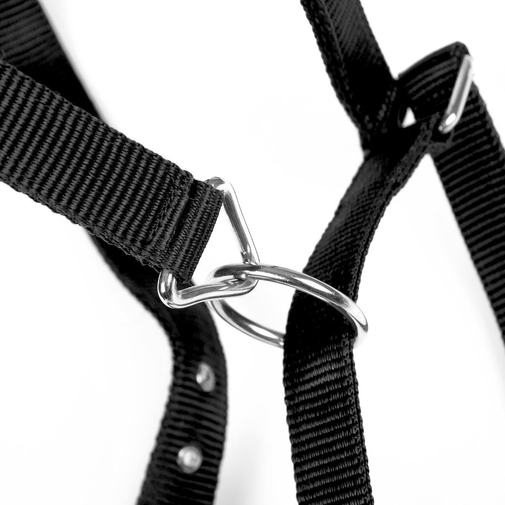 Adjustable Nylon Full Size Horse Halter