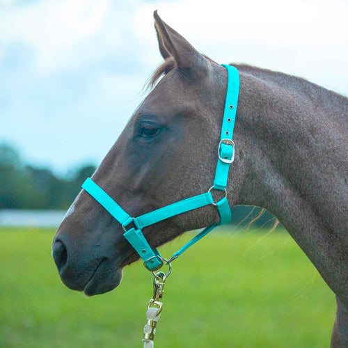 Adjustable Nylon Full Size Horse Halter