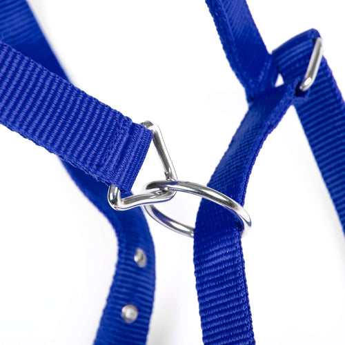 Adjustable Nylon Full Size Horse Halter