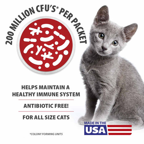 BELLY BUDDY Probiotic Supplement Packets for Cats – Multi-Strain Digestive & Immune Support