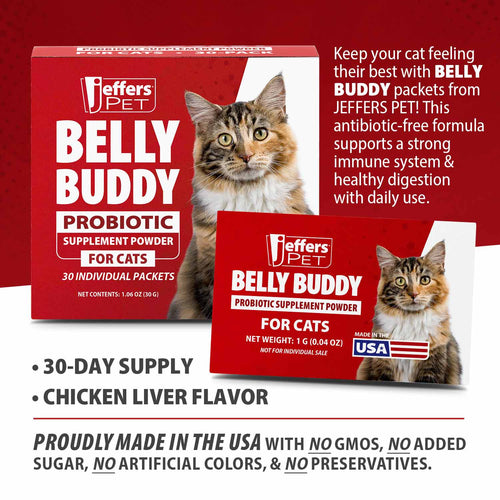 BELLY BUDDY Probiotic Supplement Packets for Cats – Multi-Strain Digestive & Immune Support