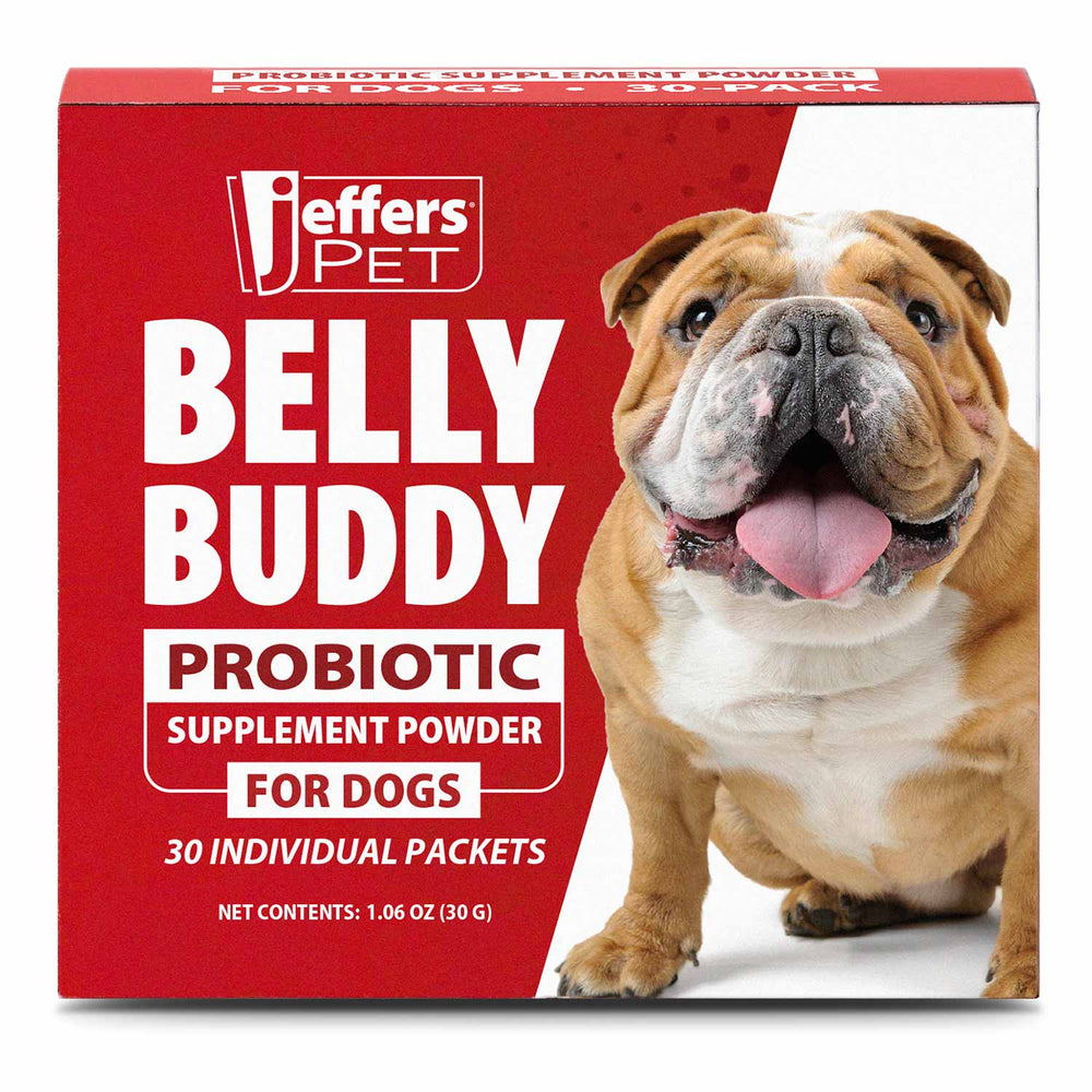 BELLY BUDDY Probiotic Supplement Powder for Dogs – Multi-Strain Digestive & Immune Support